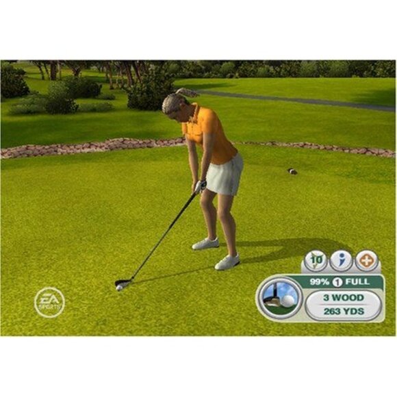 Tiger Woods PGA Tour 09 All-Play Nintendo Wii Game Complete Case Manual Tested - Picture 4 of 8